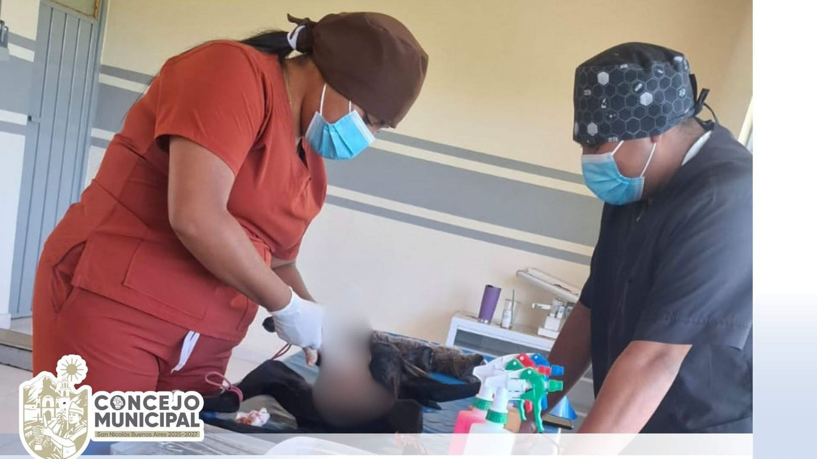 esterilización canina y felina en la localidad